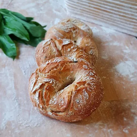 Muller Gartner Gæstehus Groß-Enzersdorf